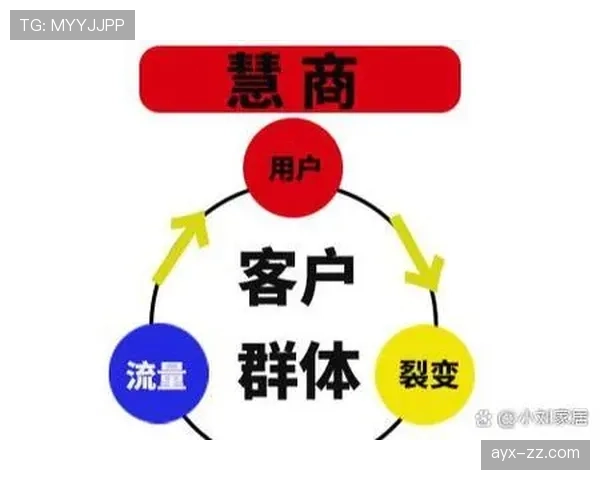 兹沃勒阵容深度解析：新赛季竞争力提升的关键策略与发展方向